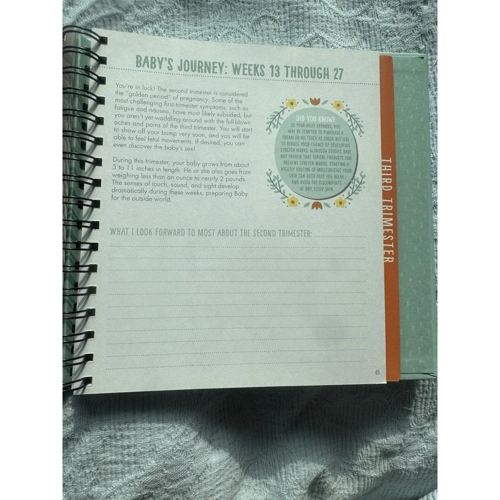 Bump for Joy A Pregnancy Journal Hardcover Beginning to End Keepsake New Other